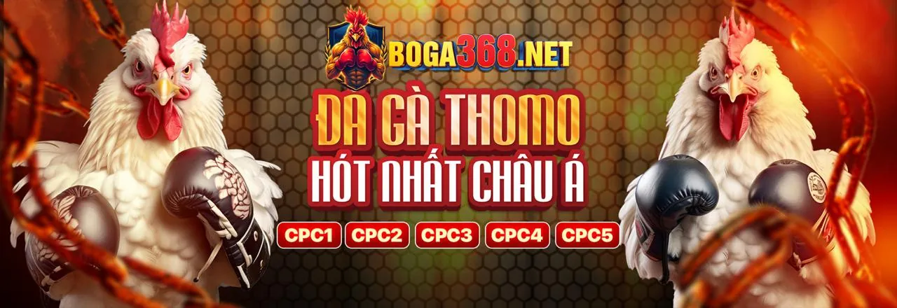 Đá Gà Trực Tuyến Kingbet86