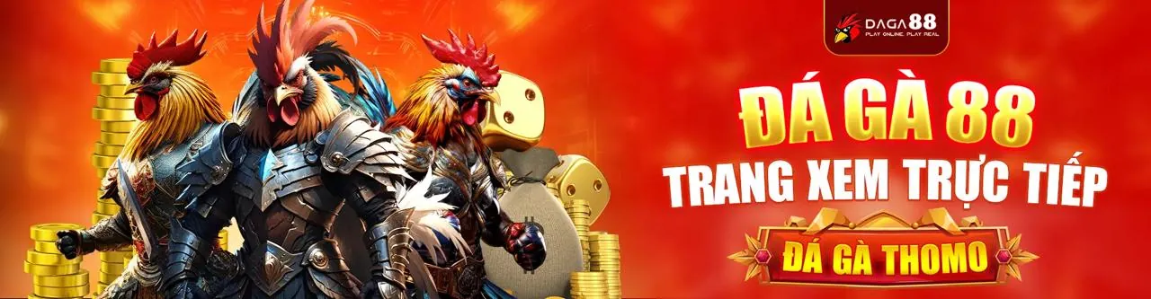 Biểu đồ các loại cookie khác nhau được Kingbet86 sử dụng